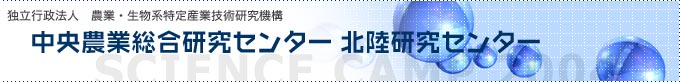 _ƑZ^[@kZ^[