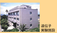 北海道大学キャンパス