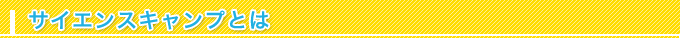 サイエンスキャンプとは