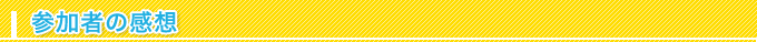 参加者の感想