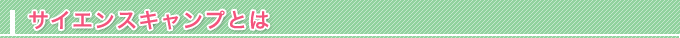 サイエンスキャンプとは