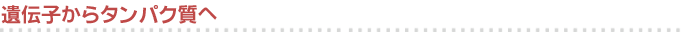 `q^pN