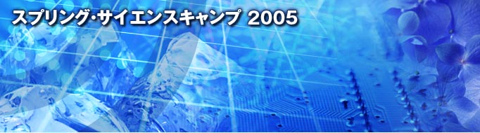 XvOTCGXLv2005