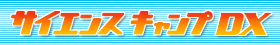 �T�C�G���X�L�����vDX